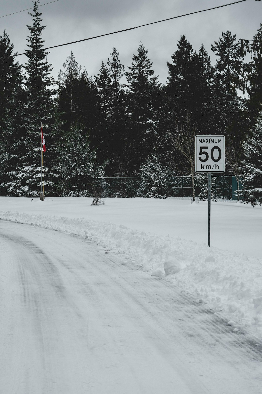 black and white stop sign on snow covered ground