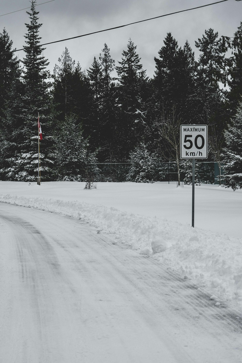 segnale di stop in bianco e nero su terreno innevato