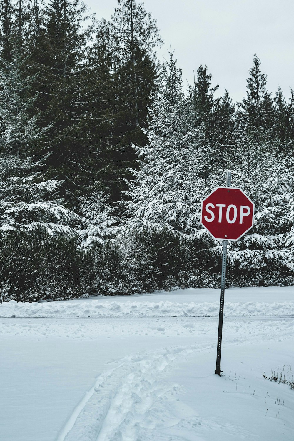 雪に覆われた地面に赤い一時停止標識