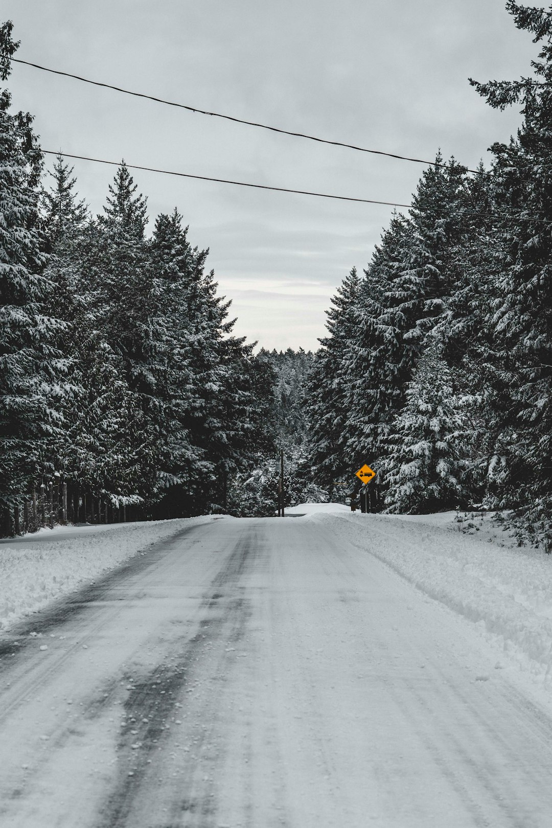 Road trip photo spot Felix Jack Road Pitt Meadows