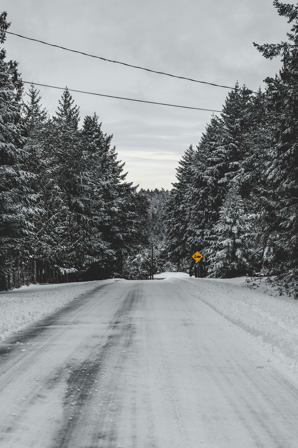 person in yellow jacket riding on yellow motorcycle on road between trees covered with snow during