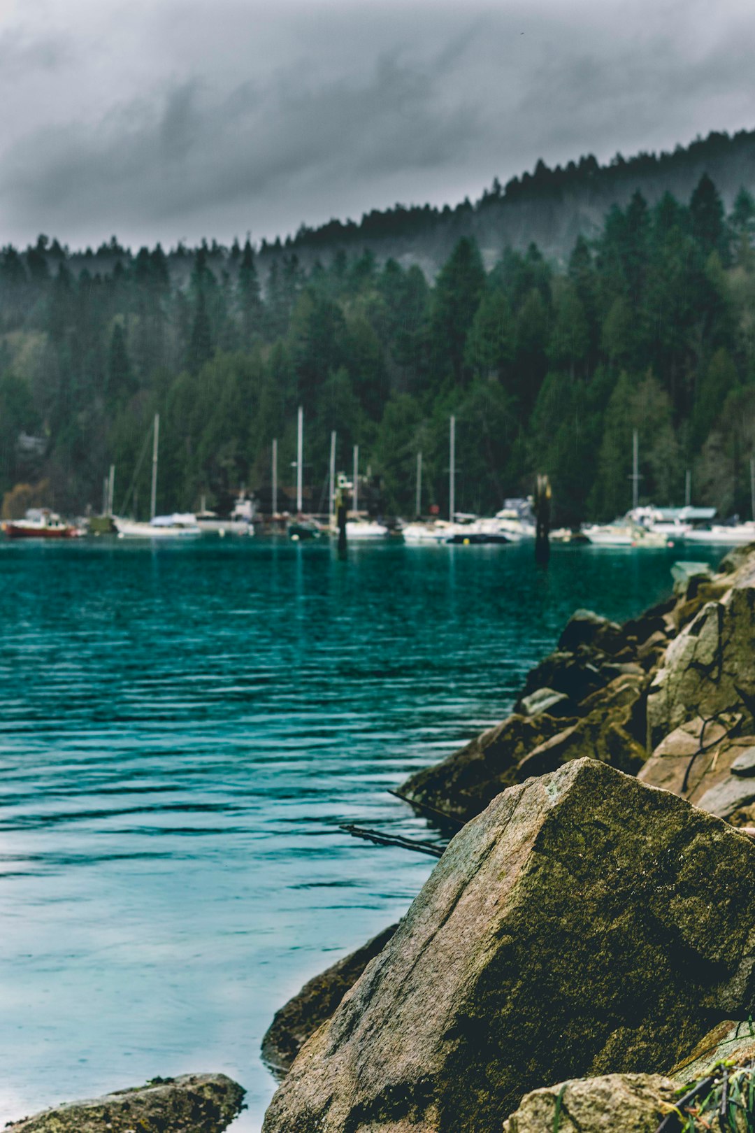 Shore photo spot Salt Spring Island Galiano Island