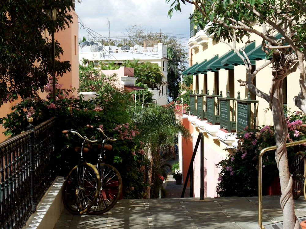 Bicicleta roja estacionada junto a un árbol verde durante el día