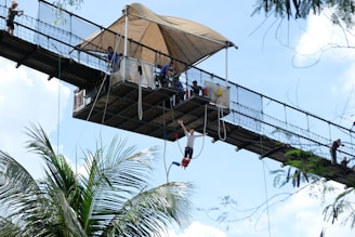 people on top of brown wooden hanging bridge during daytime