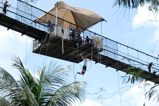 people on top of brown wooden hanging bridge during daytime