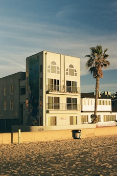 A modern, multi-story beachfront building with large windows and balconies, featuring a mural on its side. A lone palm tree stands nearby, casting its shadow. The sandy beach and a trash can are visible in the foreground, under a clear blue sky.