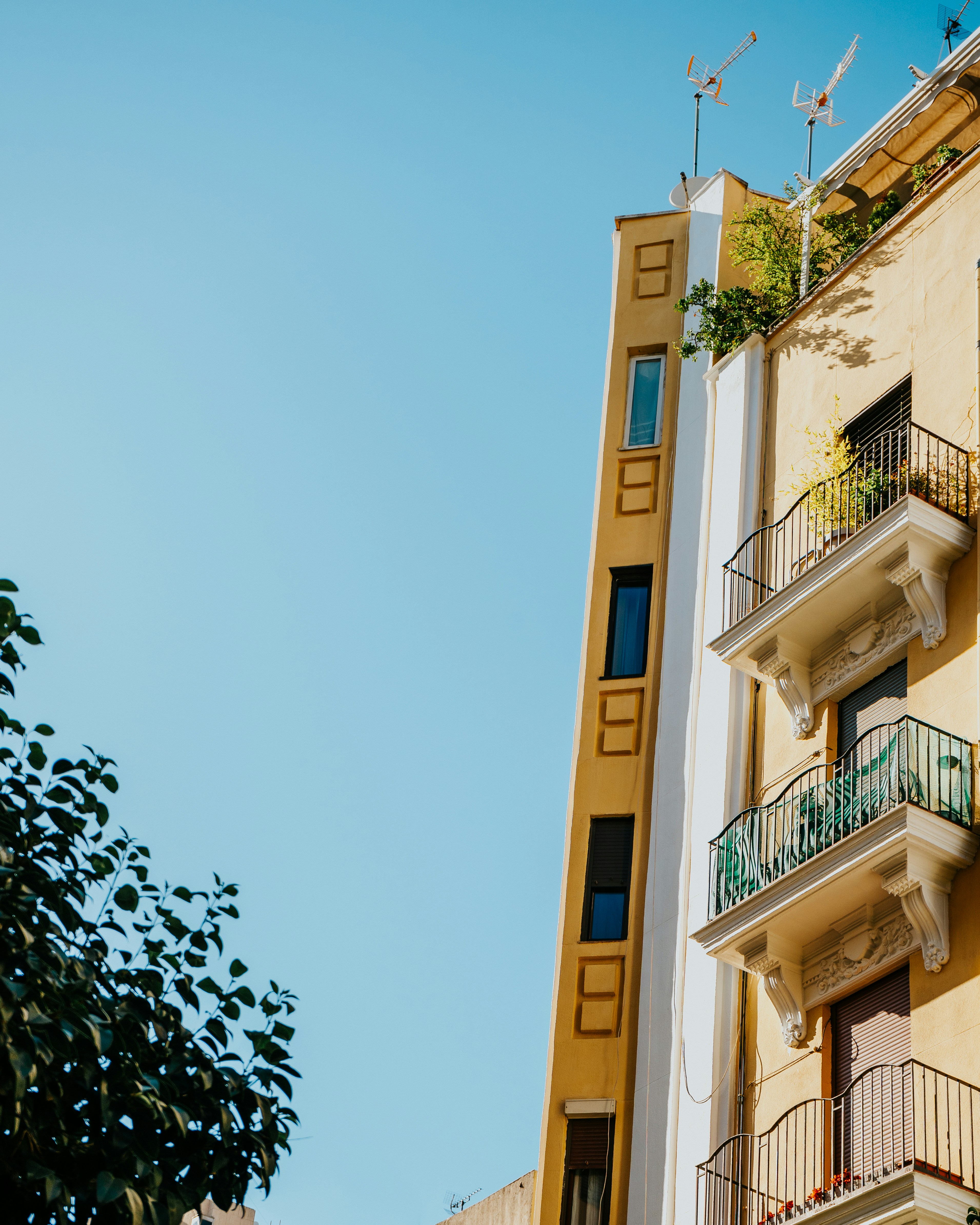 Photo by charliegallant