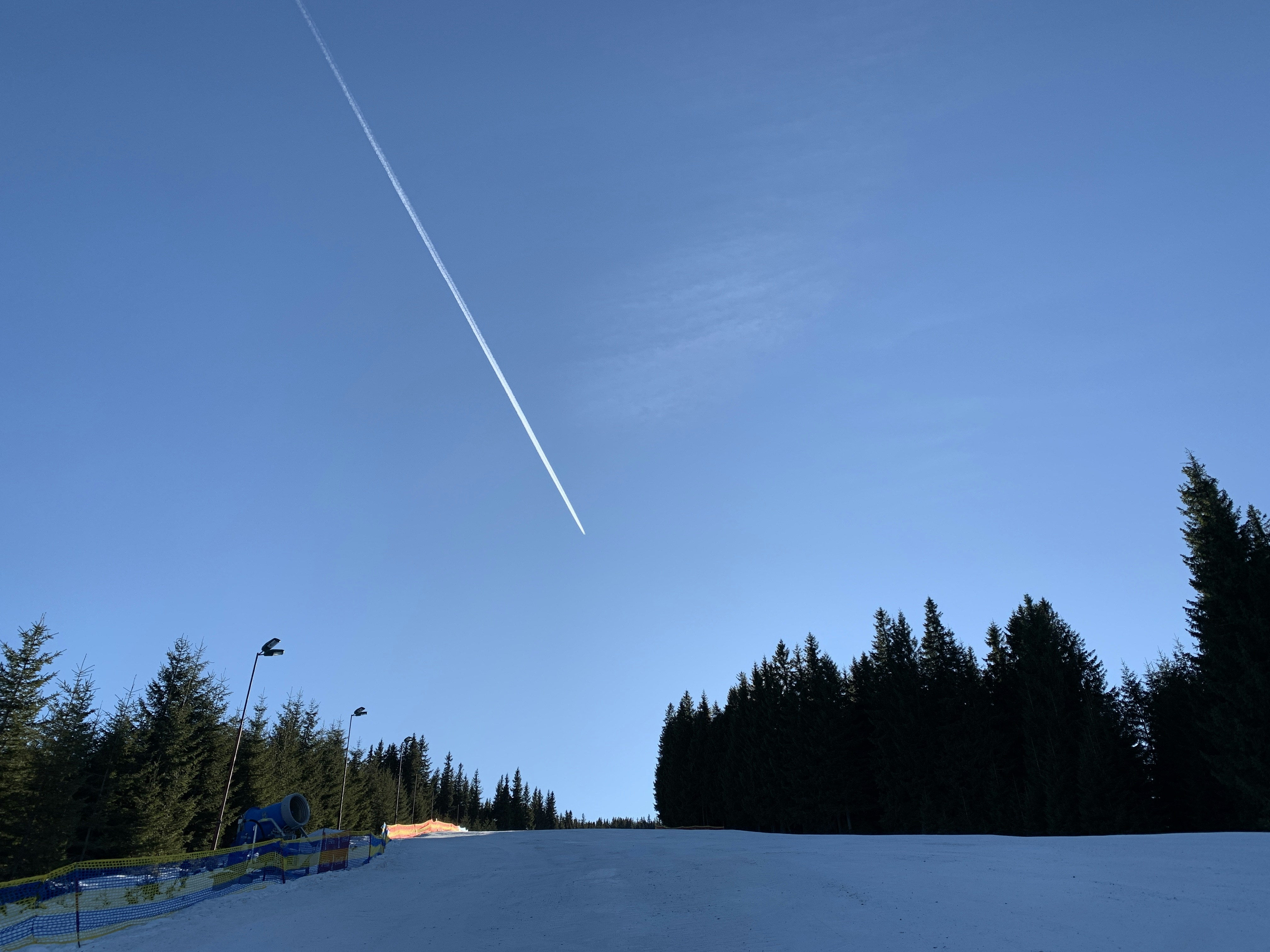 green trees under blue sky during daytime