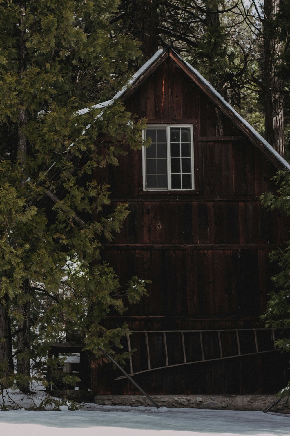 brown wooden house near green tree during daytime