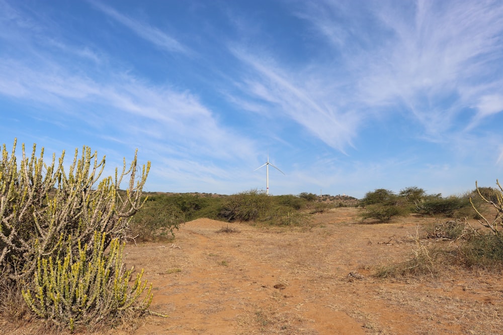 white wind turbine on brown field under blue sky during daytime