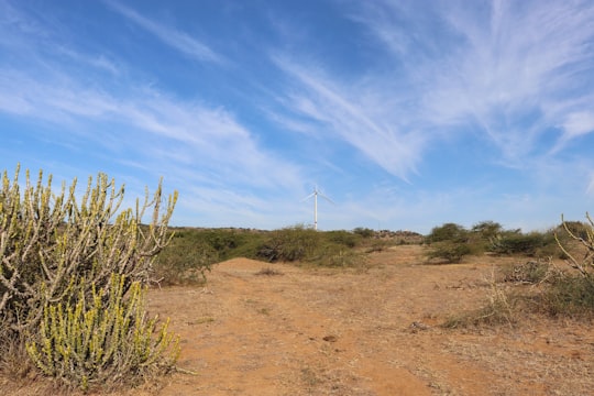 white wind turbine on brown field under blue sky during daytime in Bhuj India