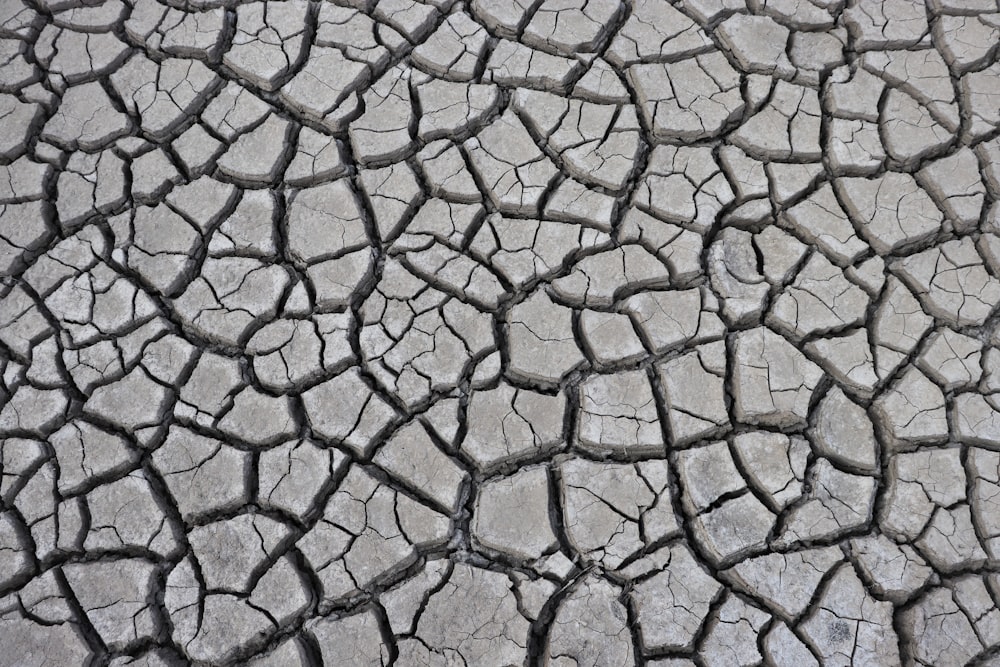 Clôture à mailles losangées en métal gris et noir