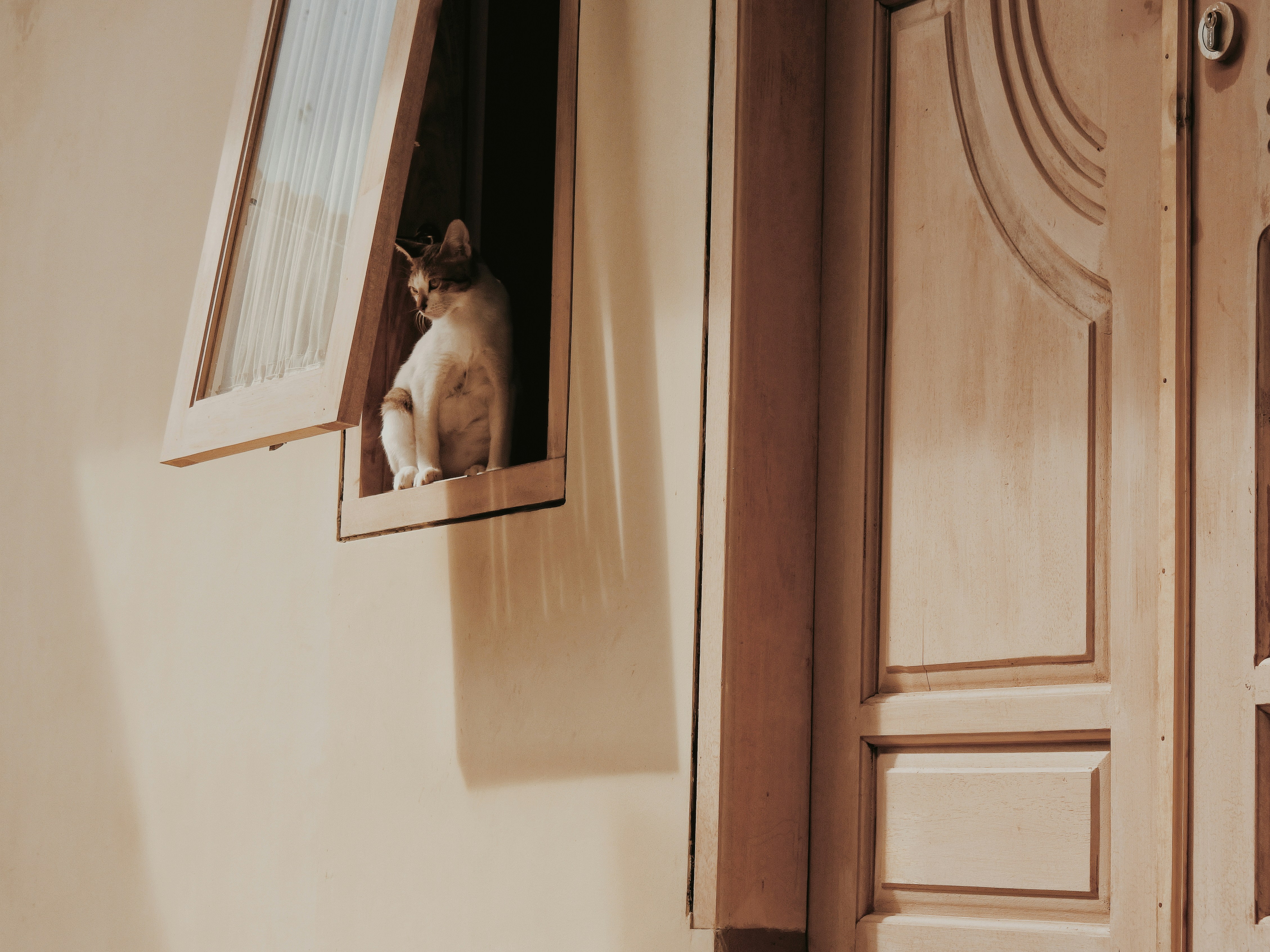 Photo by akmalnegara