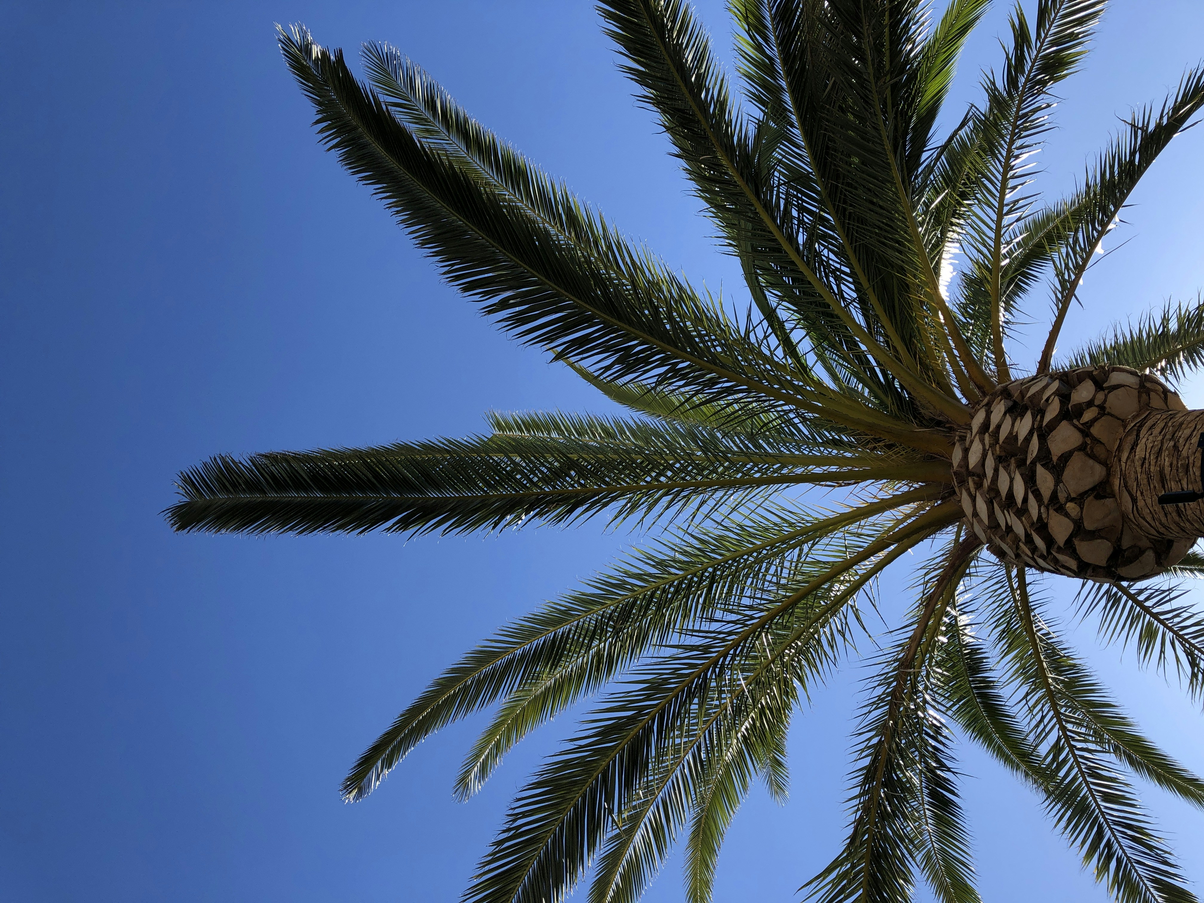 Photo by mauriciosantana