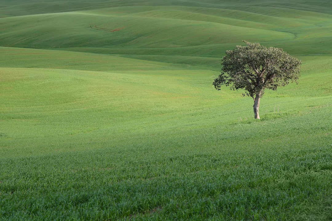 travelers stories about Plain in Bitronot Ruhama Reserve, Israel