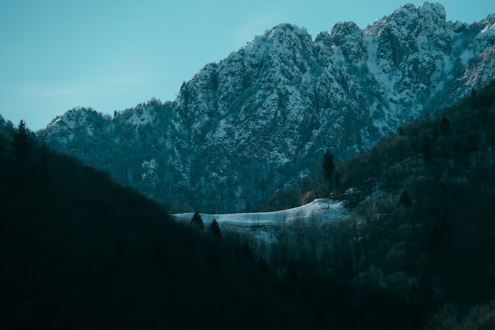 green trees on mountain under blue sky during daytime