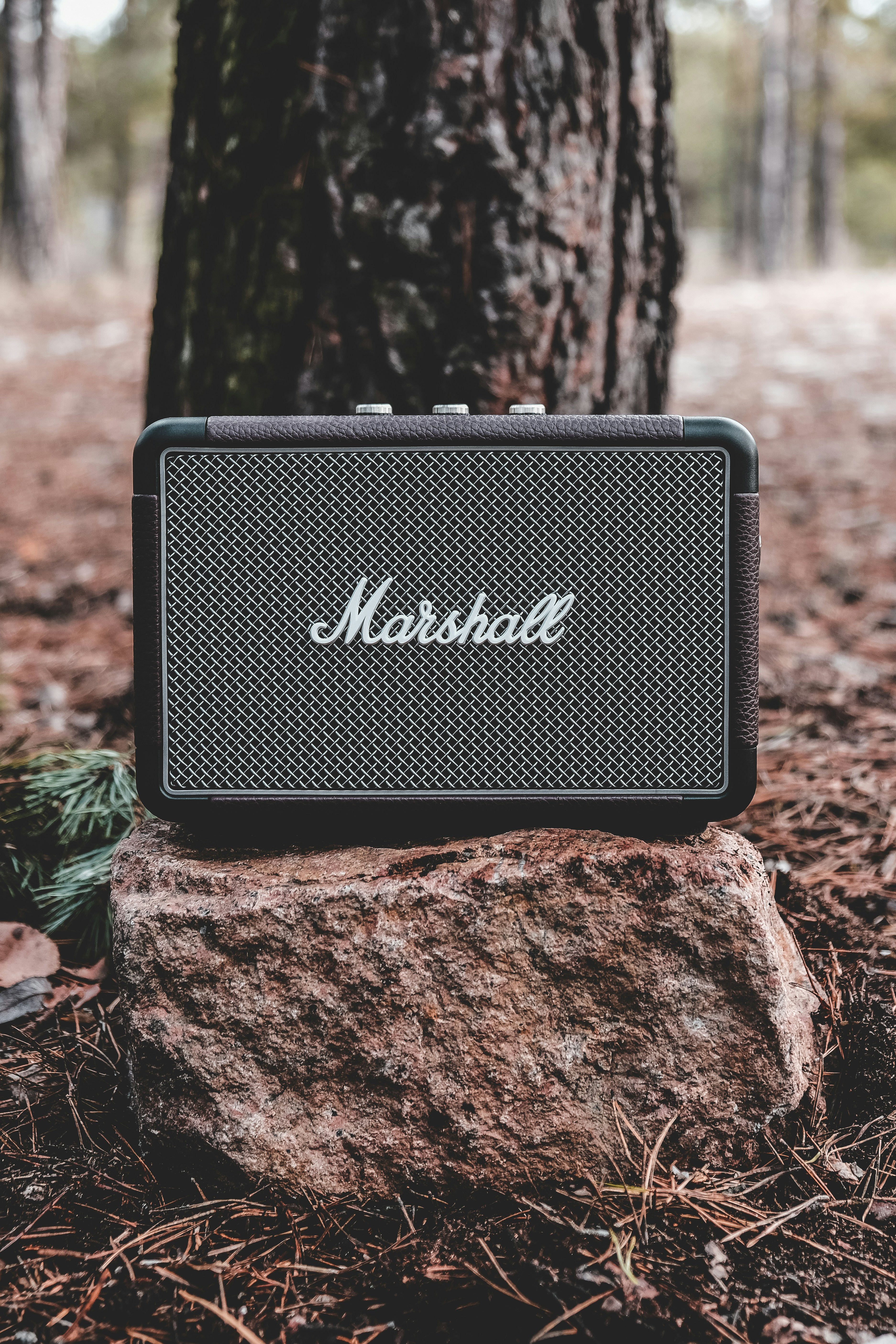 black and gray marshall guitar amplifier