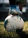 white and blue soccer ball on green grass field