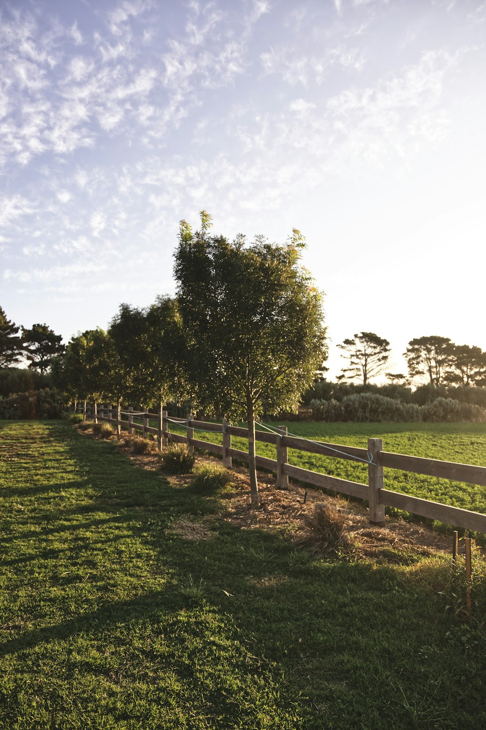 green grass field with brown wooden fence