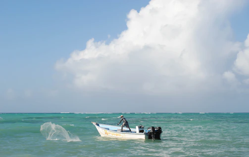 Fisherman standing on a boat under bright blue sky, casting lines towards the horizon.