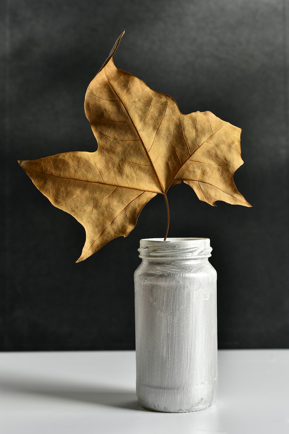brown maple leaf on clear glass jar
