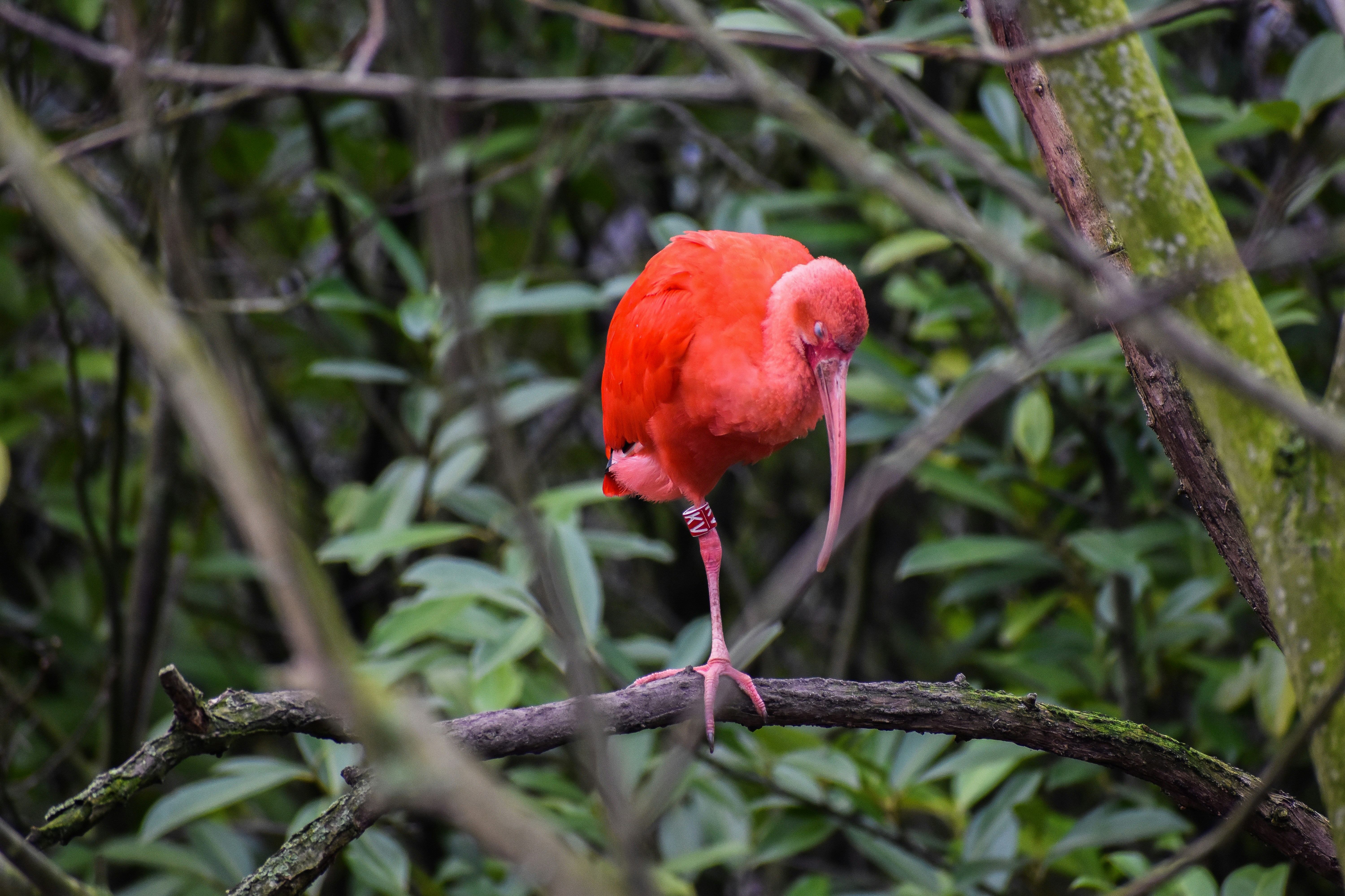 Photo by nickanddjalila