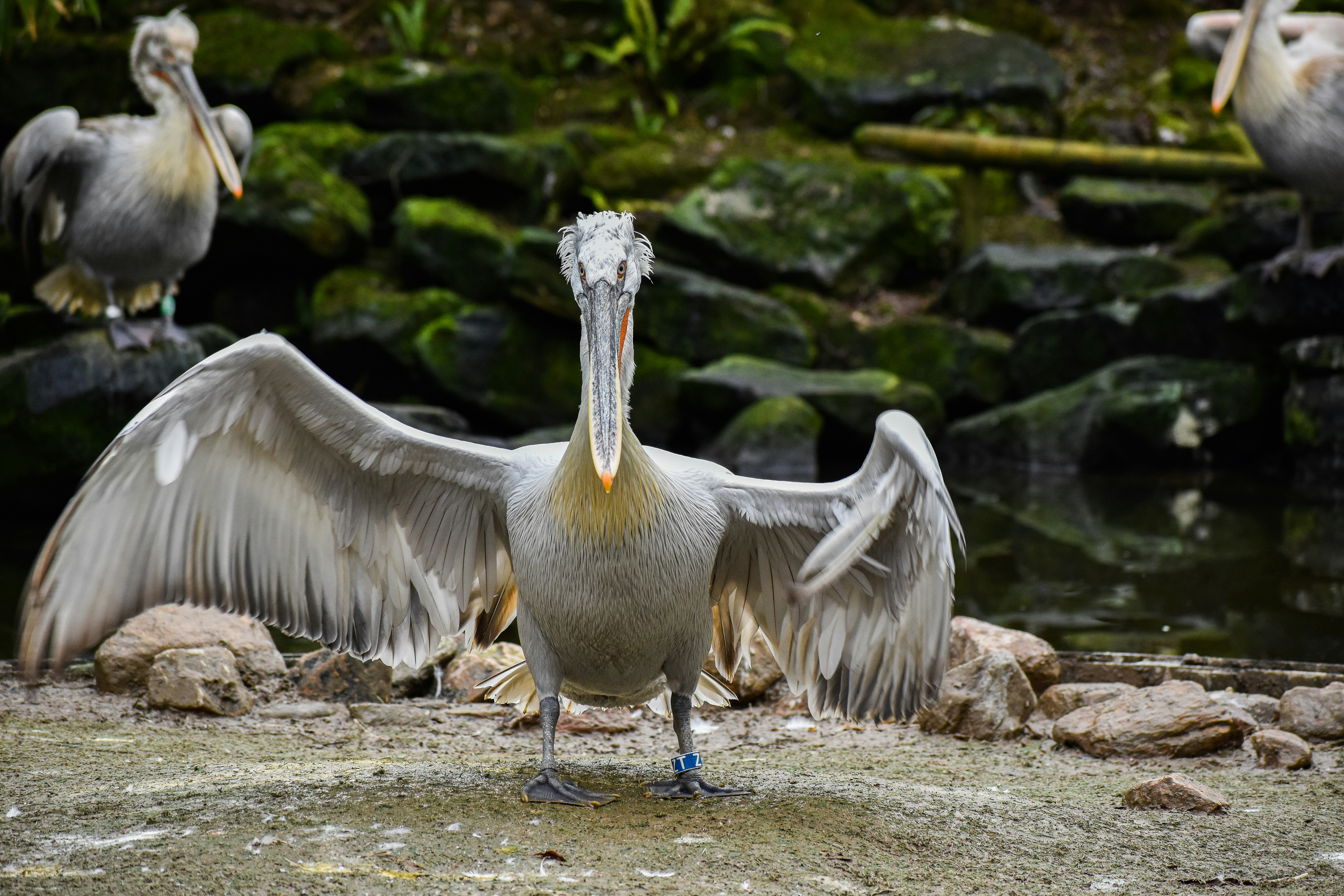 Photo by nickanddjalila