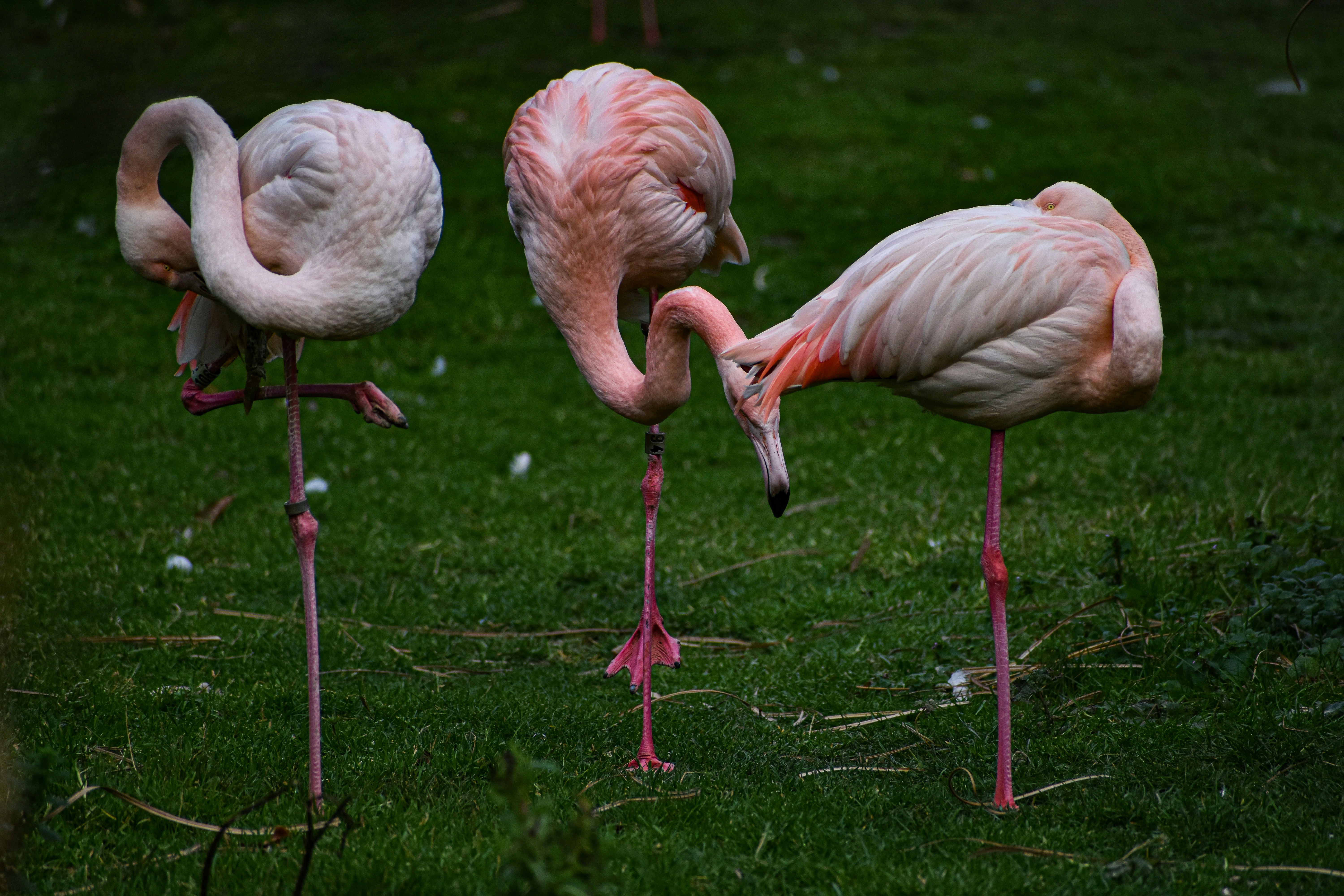 Photo by nickanddjalila