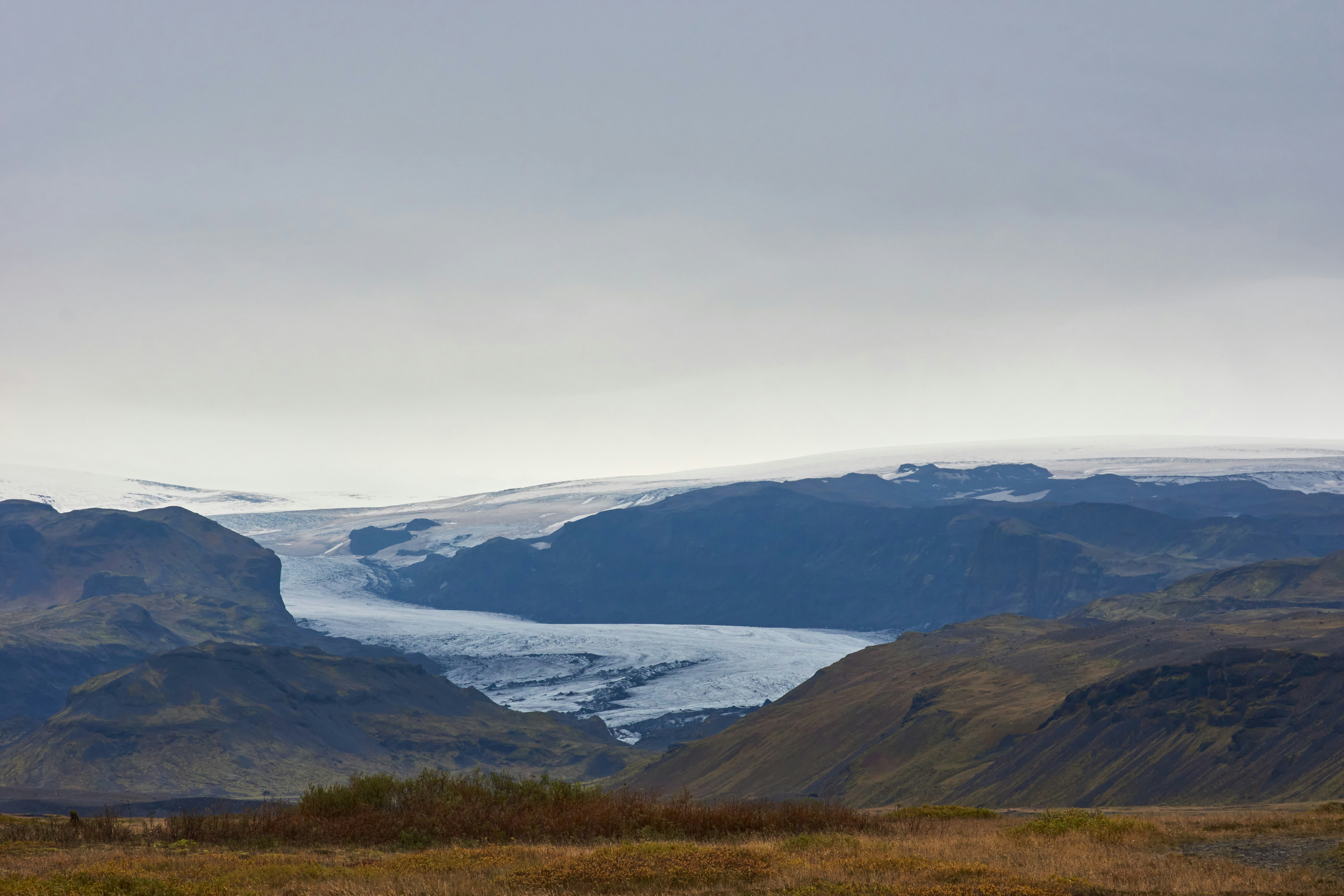 Photo by wolfgang_hasselmann