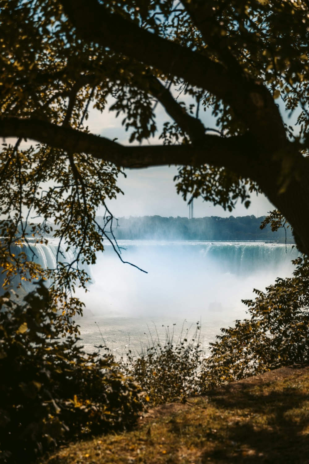 body of water near trees during daytime