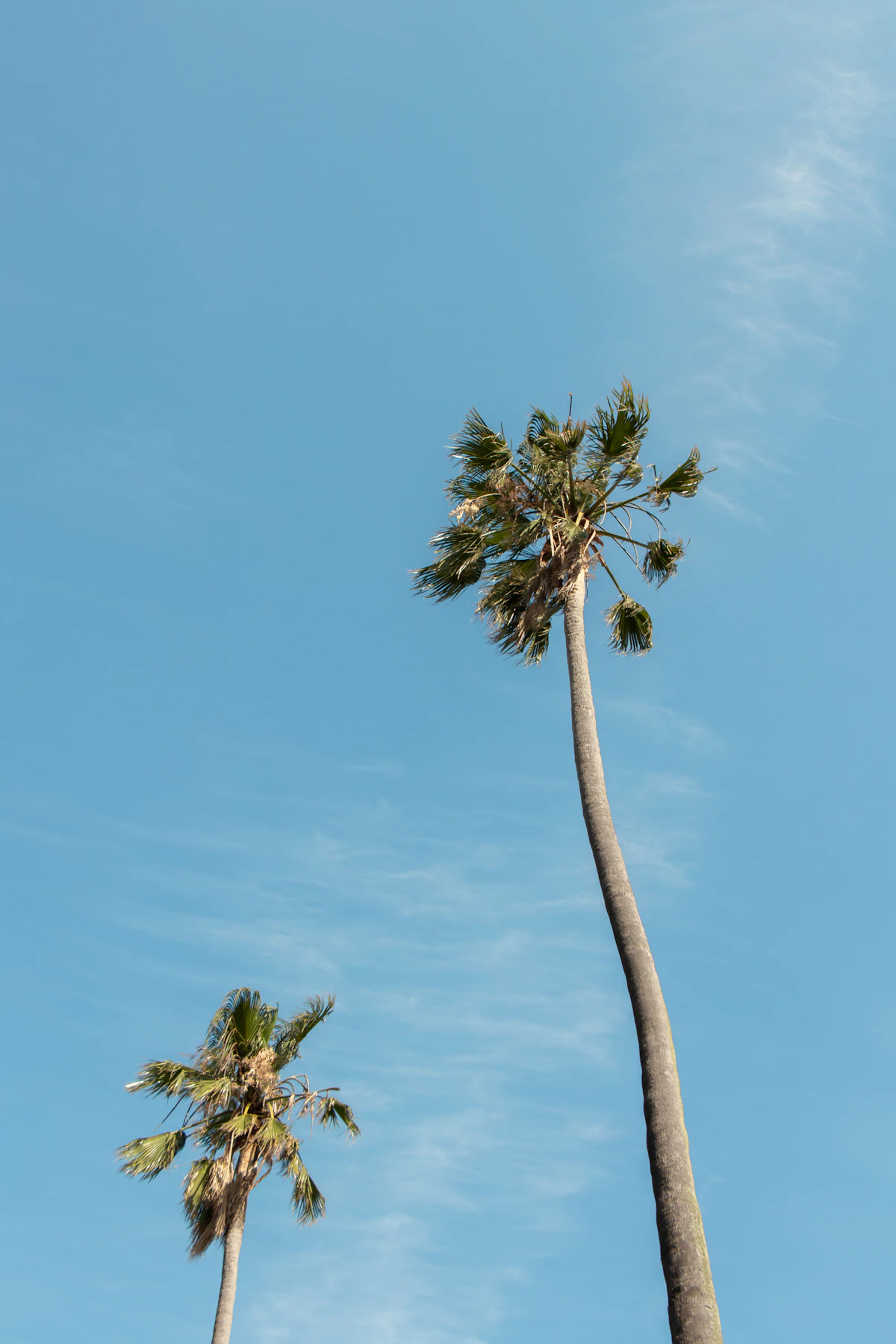 Gainsight vs ChurnZero: Picking Your Customer Success Stack