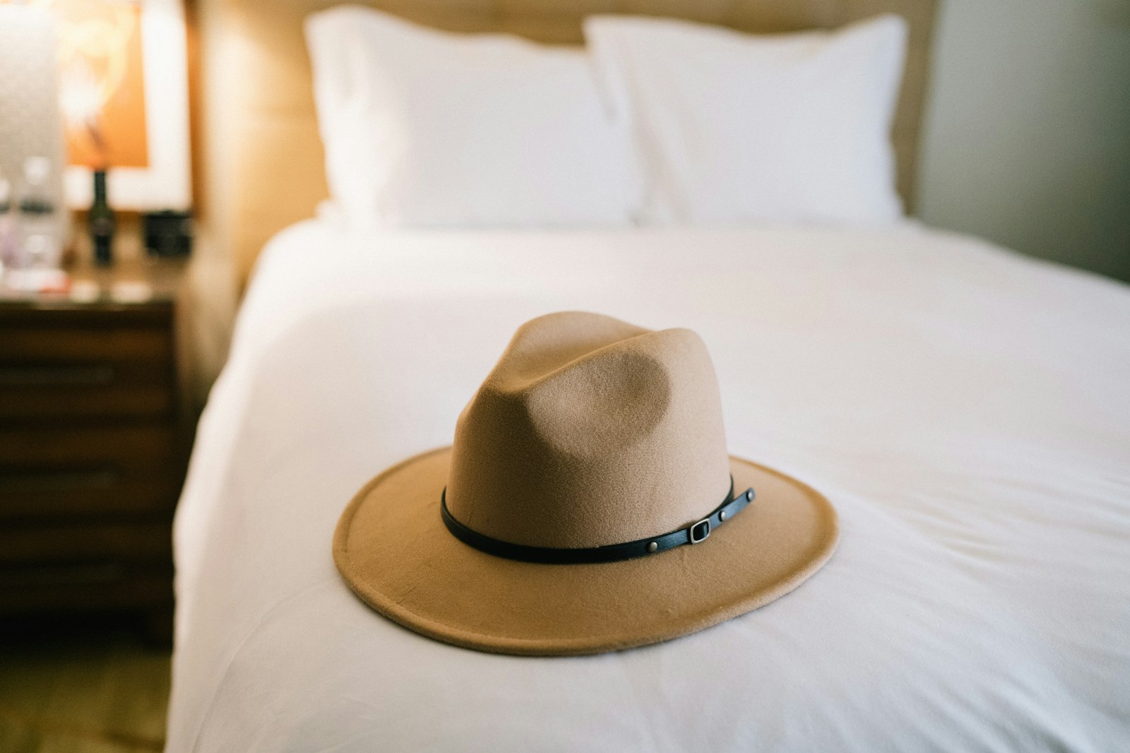 Sony a7 III + Sony Distagon T* FE 35mm F1.4 ZA sample photo. Brown fedora hat on photography