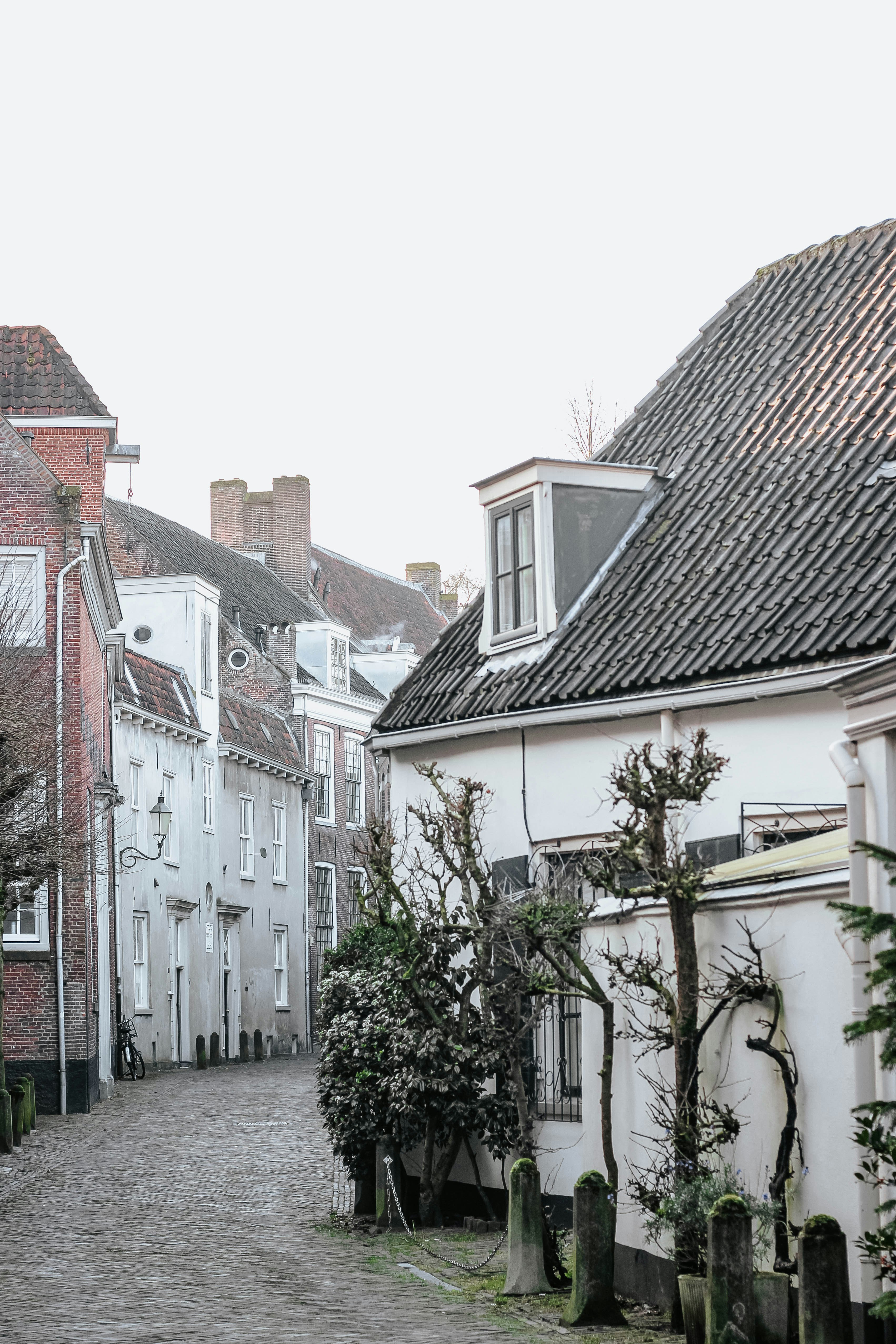 white and brown concrete houses during daytime