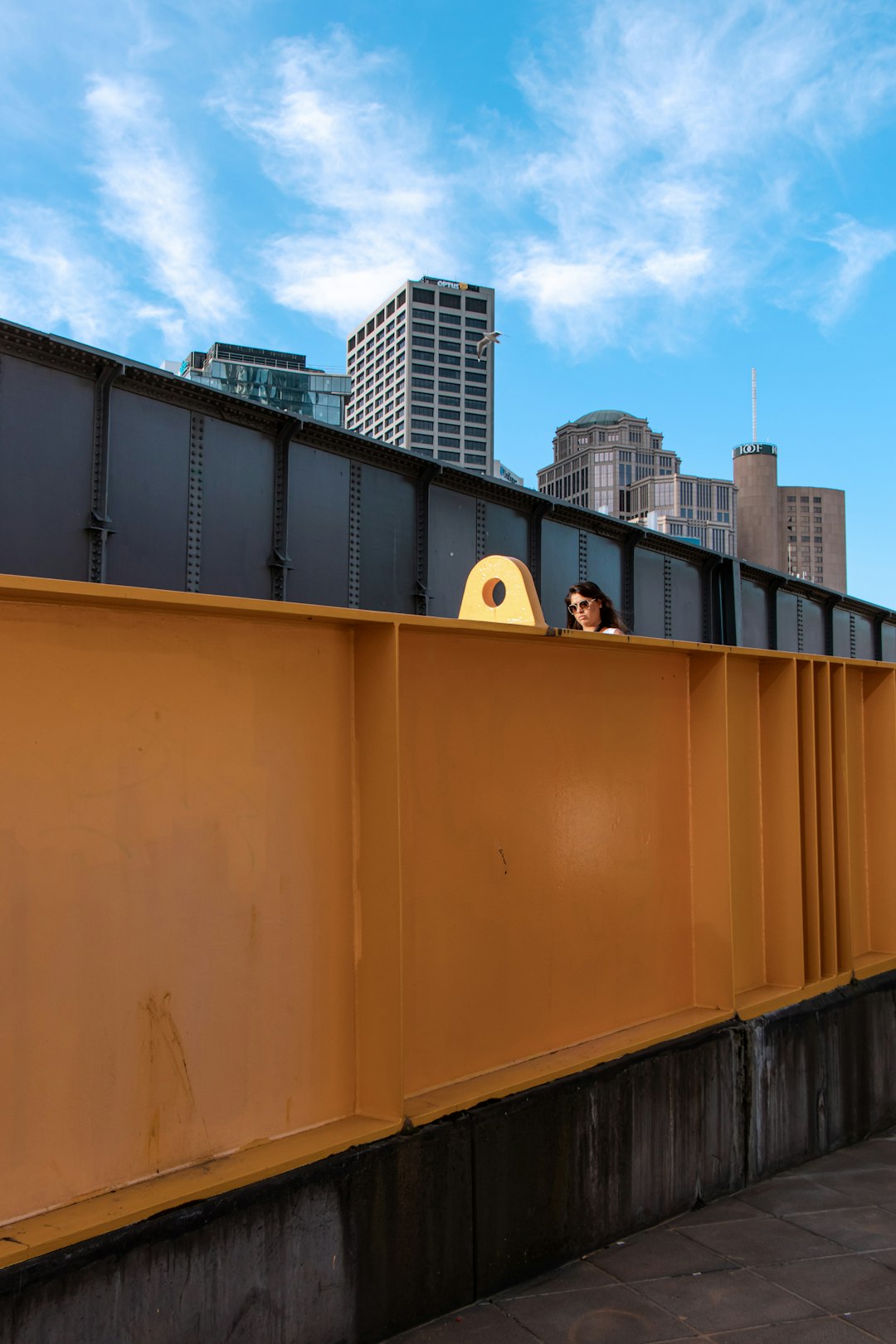 brown steel gate under blue sky during daytime