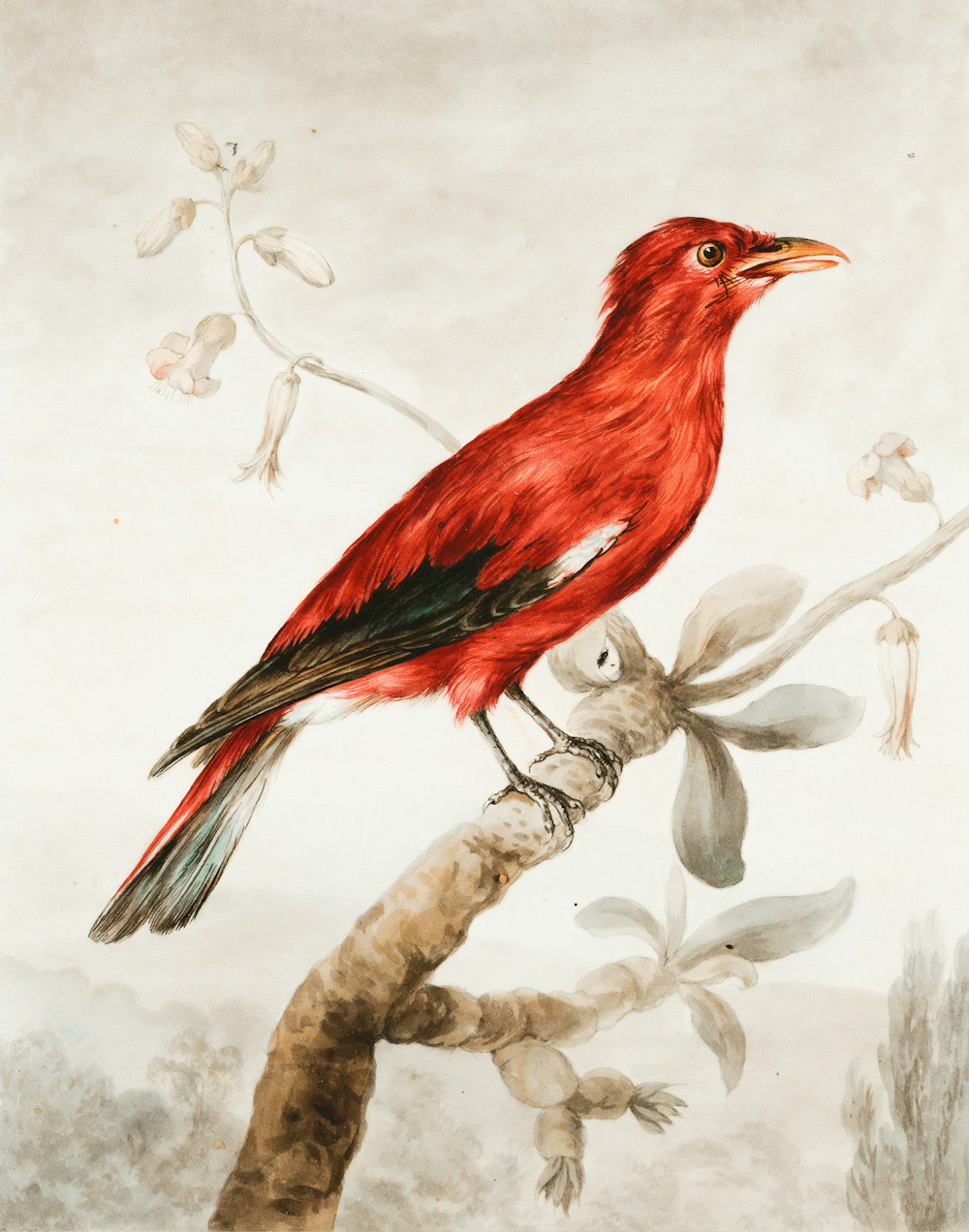 red bird on tree branch painting
