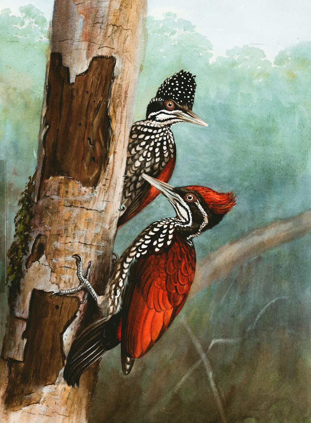 red and black bird on tree branch painting