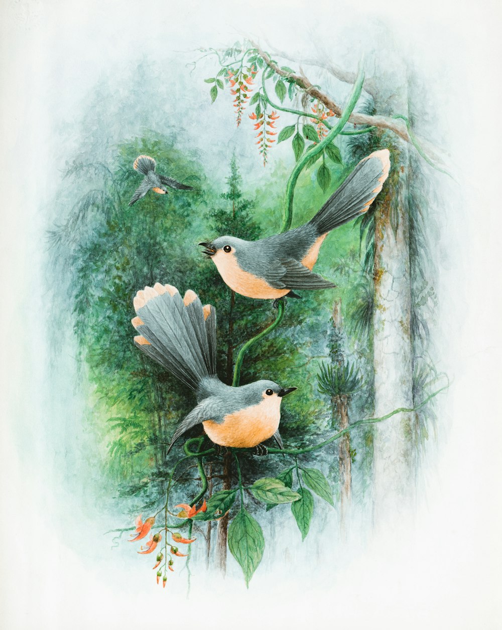 black and brown bird on tree branch painting