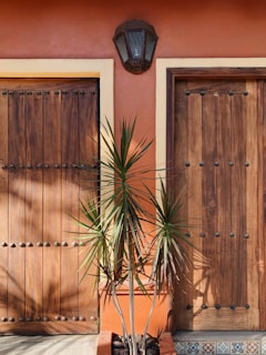 A rustic wooden door with metal studs is framed by a warm orange wall and an overhead lantern. In front of the door, a potted plant with spiky green leaves adds a touch of greenery. The scene includes decorative tiles at the bottom, contributing to a southwestern aesthetic.