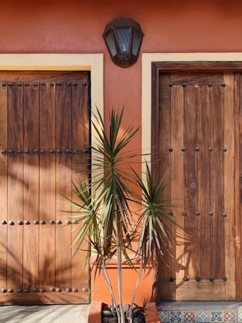 A rustic wooden door with metal studs is framed by a warm orange wall and an overhead lantern. In front of the door, a potted plant with spiky green leaves adds a touch of greenery. The scene includes decorative tiles at the bottom, contributing to a southwestern aesthetic.
