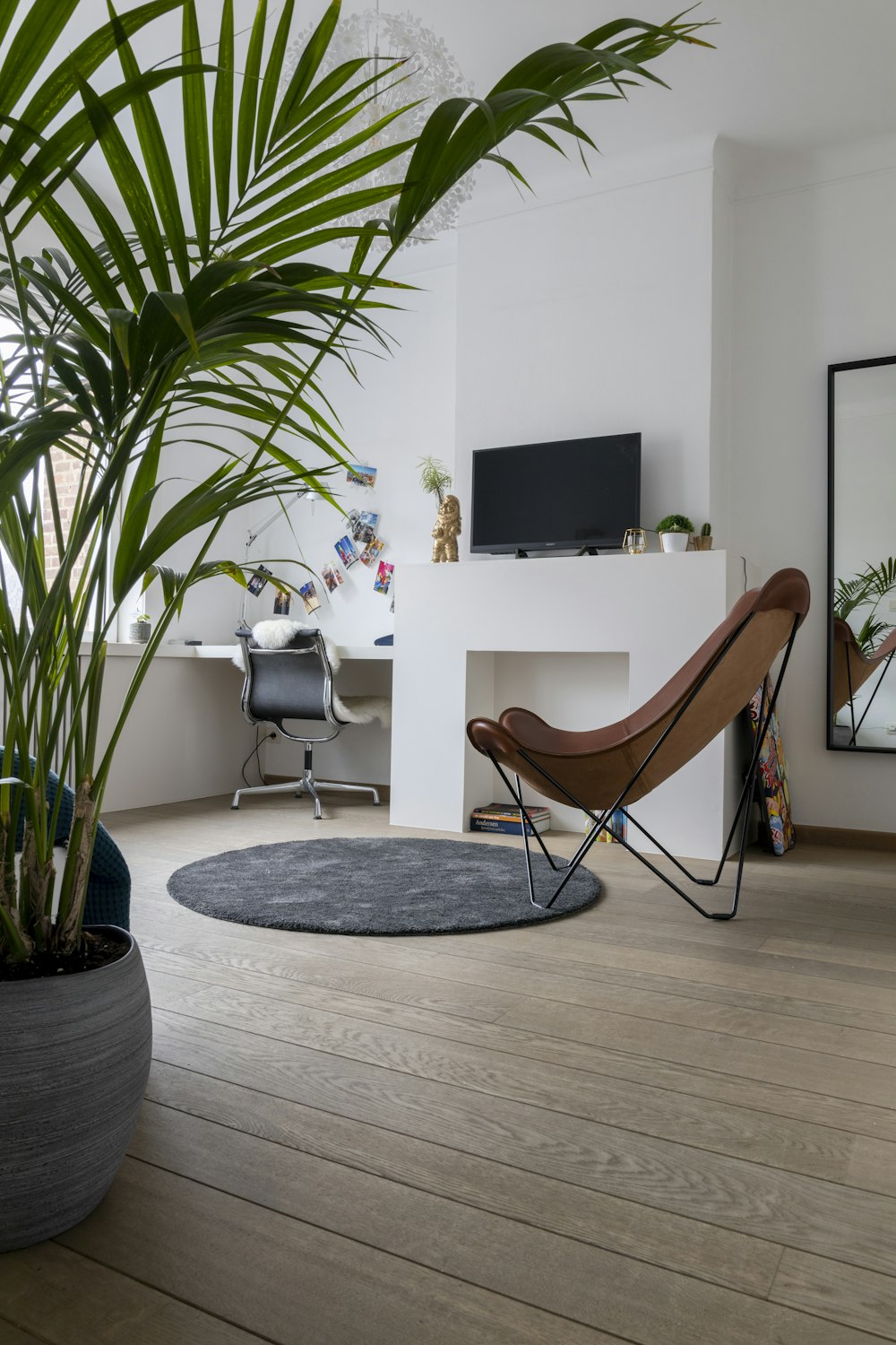 brown and black chair beside green palm plant