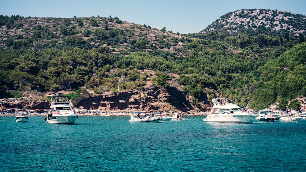 Weißes Boot tagsüber auf dem Meer in der Nähe von Green Mountain