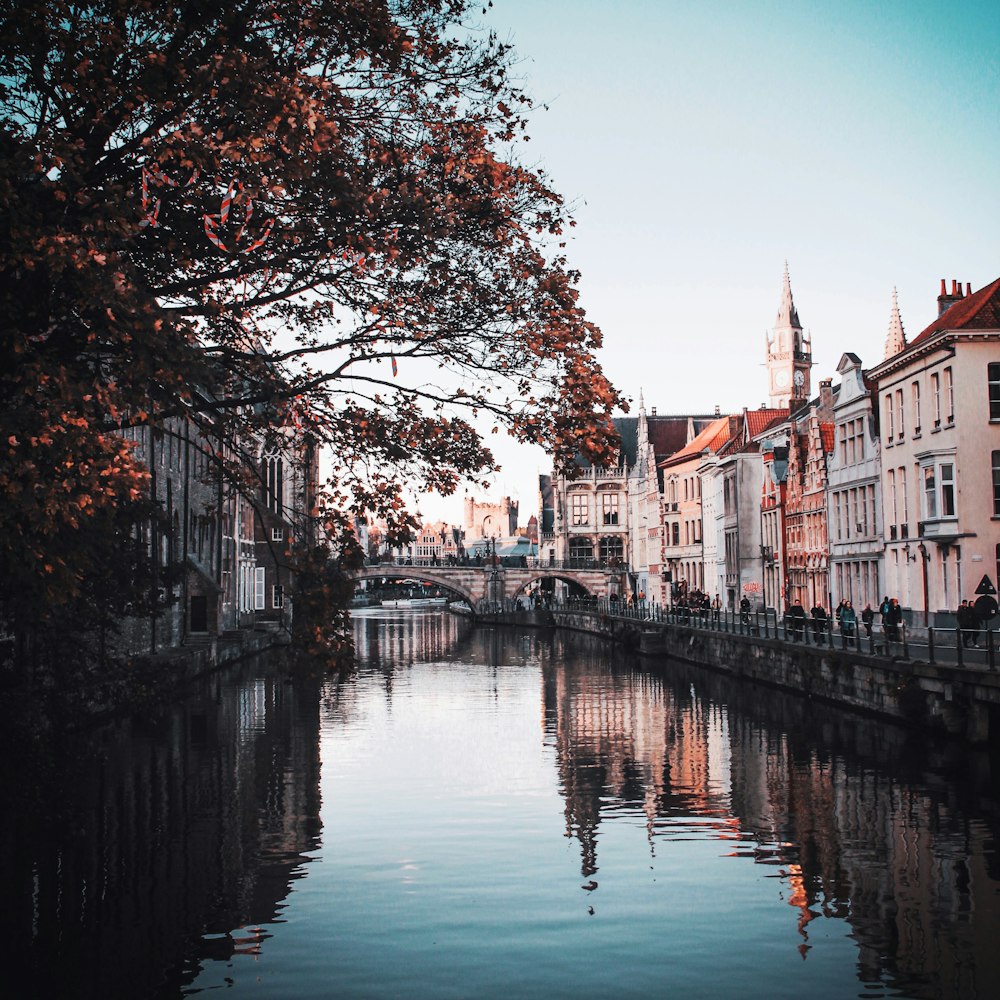 body of water between buildings during daytime