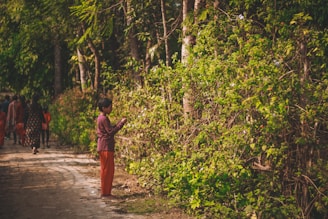 Children exploring a sunlit oak woodland trail during an outdoor education session.