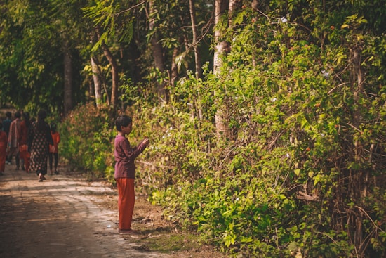 A child stands by a lush green forest path, examining the foliage. Several other people walk along the path in the background. Sunlight filters through the trees, casting dappled shadows on the ground.