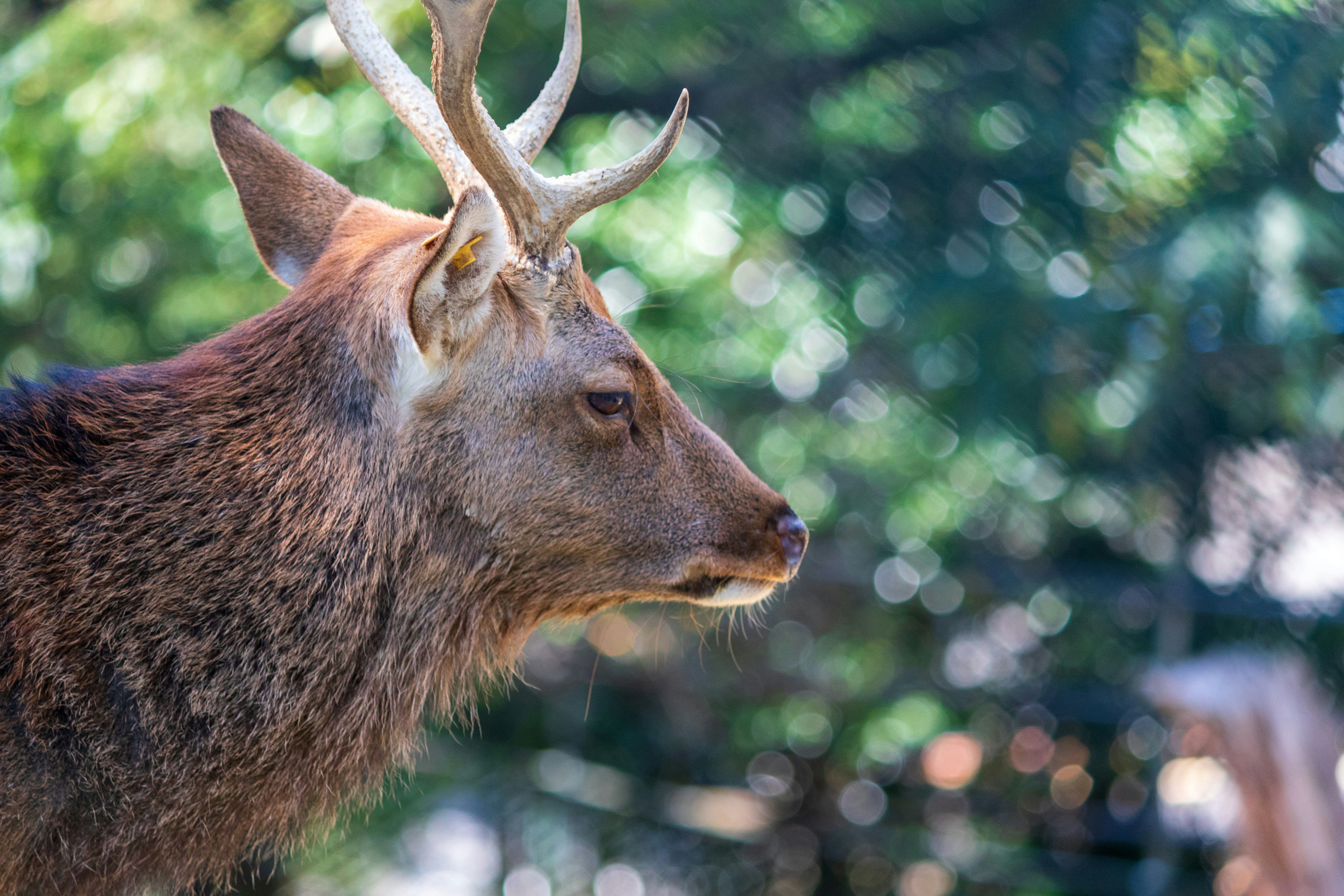 Photo by uomo_libero