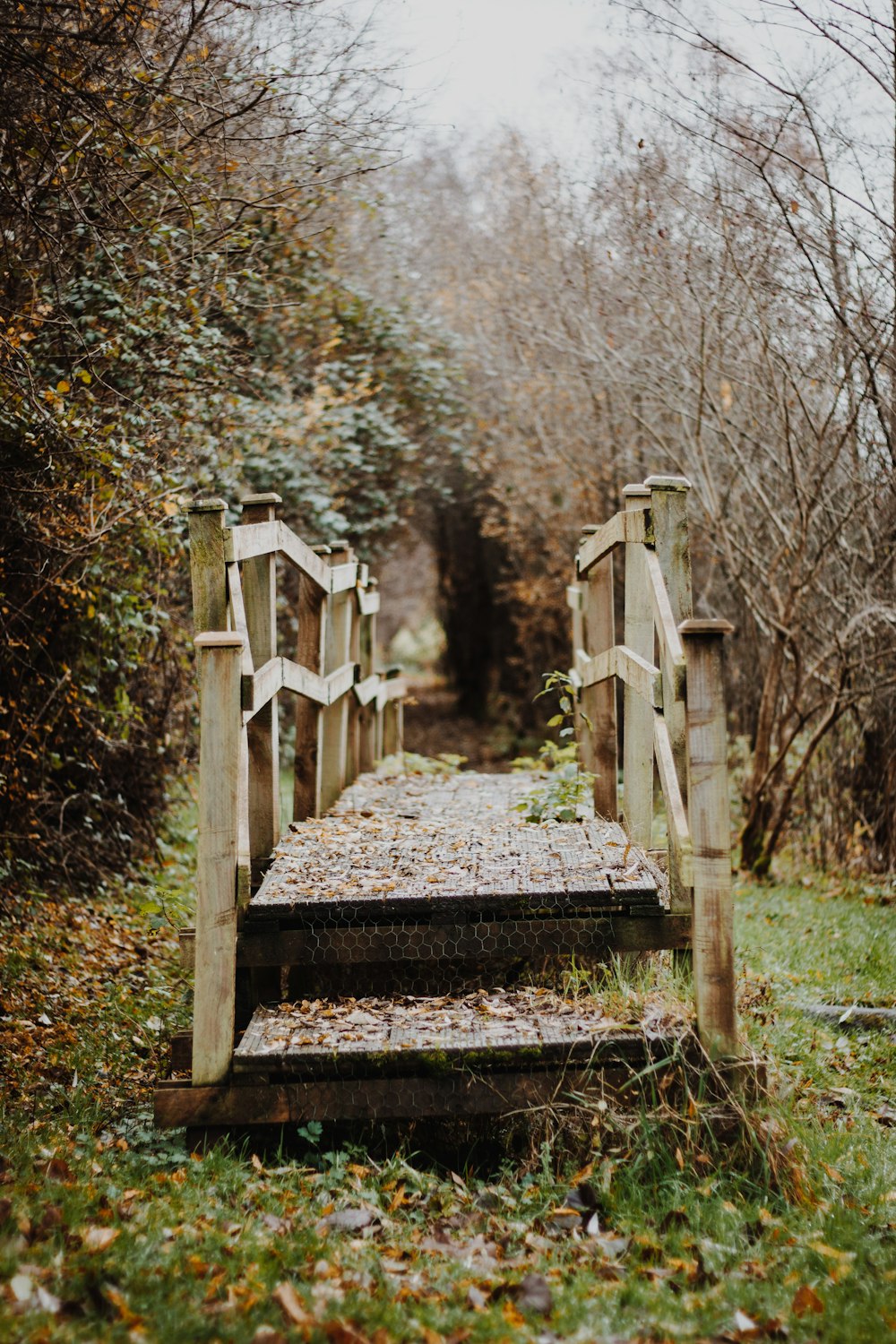 Weiße Holztreppe im Wald tagsüber