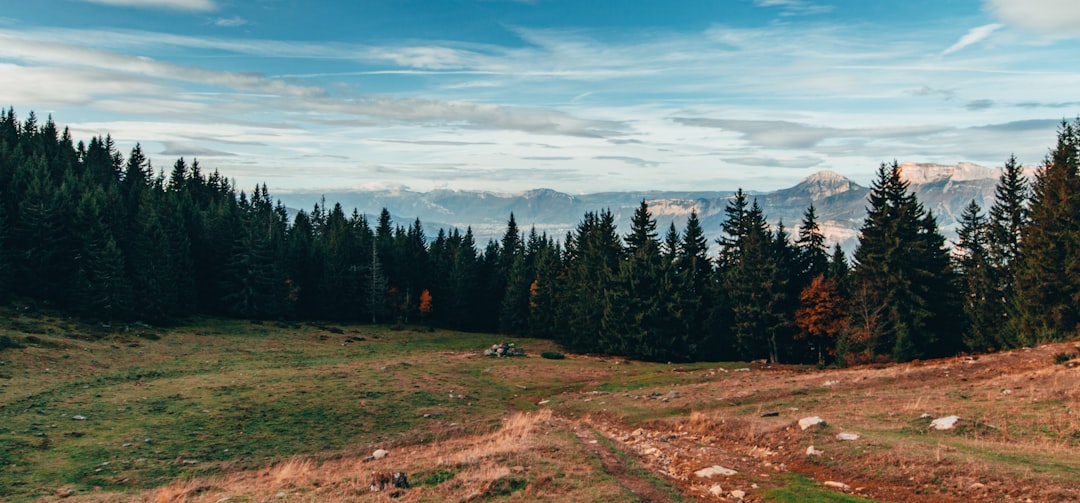 Forest photo spot Allevard Les Deserts