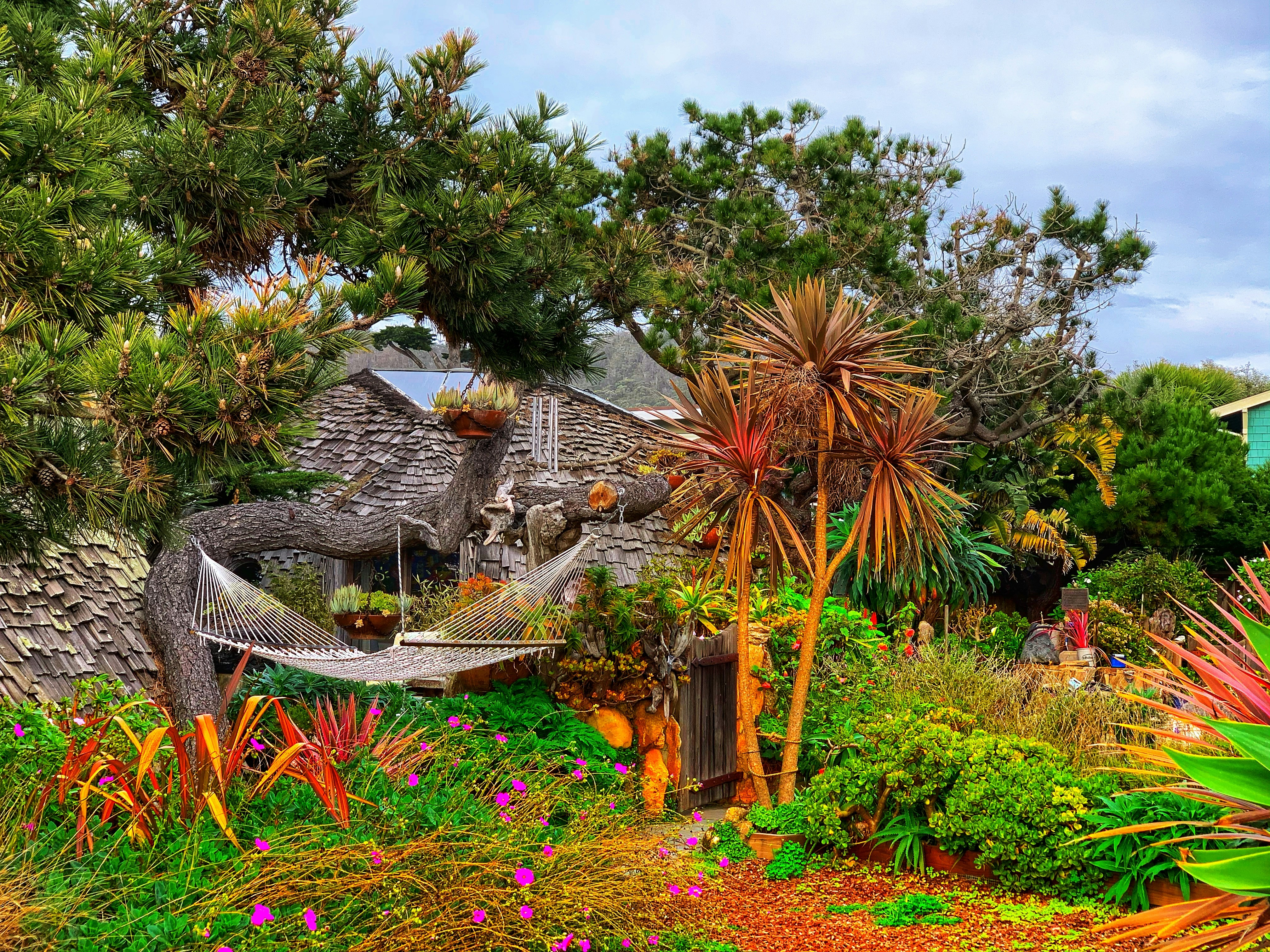 Photo by yaro_muzychenko