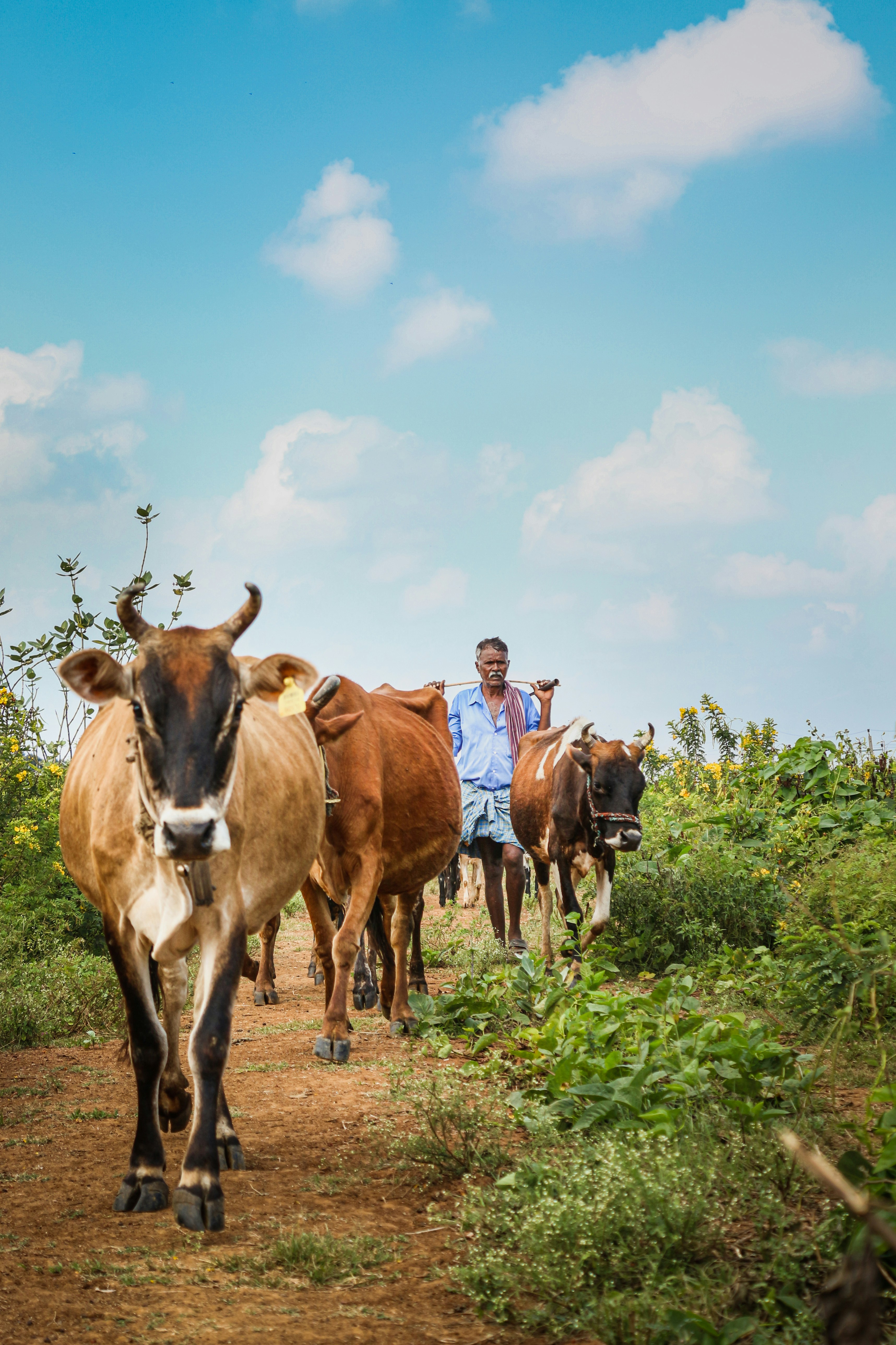 Photo by choudharyankith