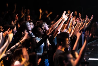 people raising their hands during night time worship